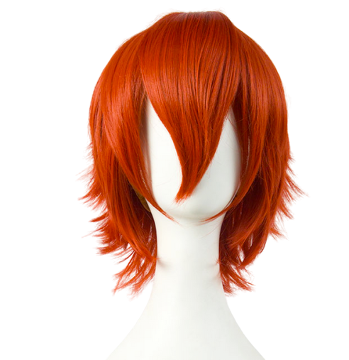 Wig 016