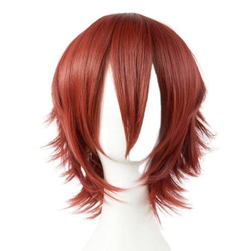 Wig 014