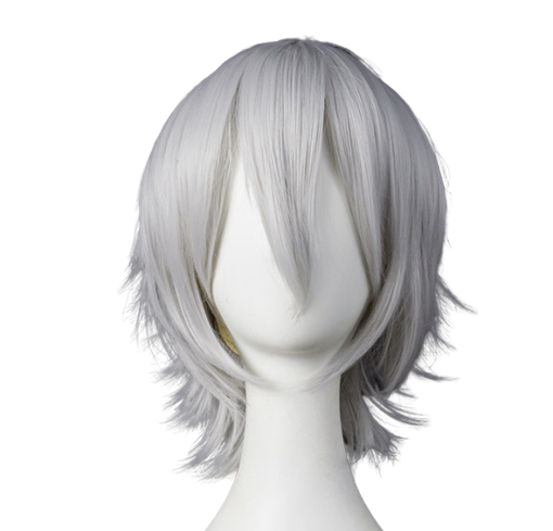 Wig 025